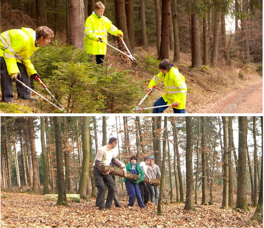 Die Schüler der Förderschule in Grevenbrück bekommen die Möglichkeit, unter pädagogischer Betreuung zielgerichtet im Wald „zu wühlen und zu ackern“ (= Wullacker).